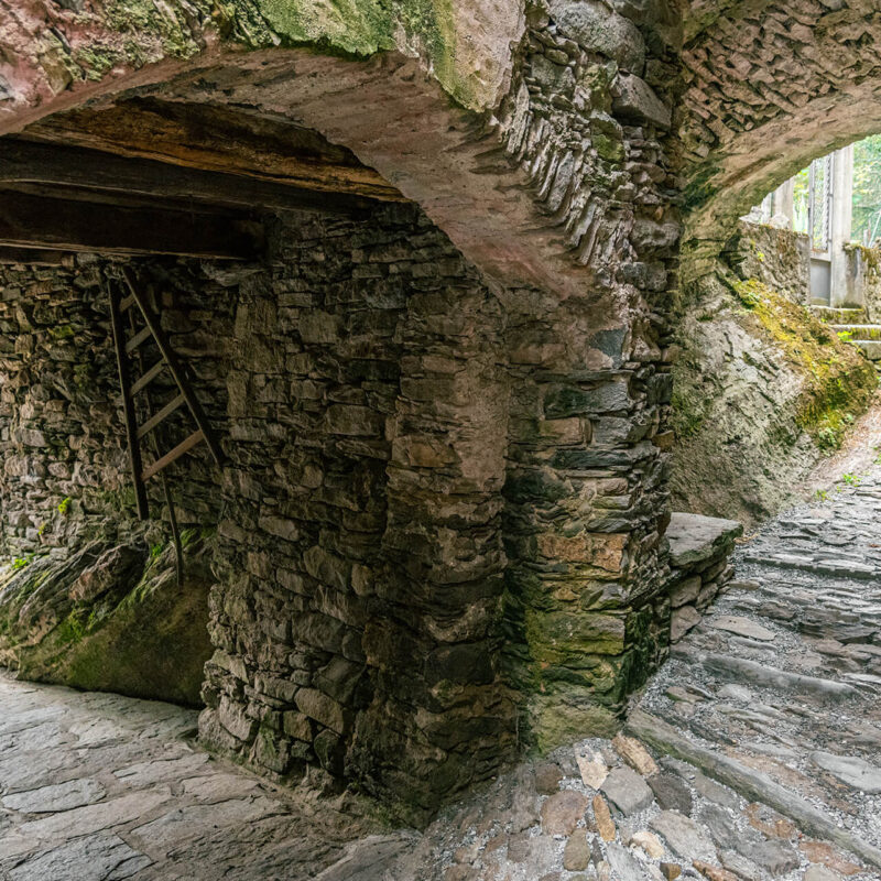 corso guide naturalistiche