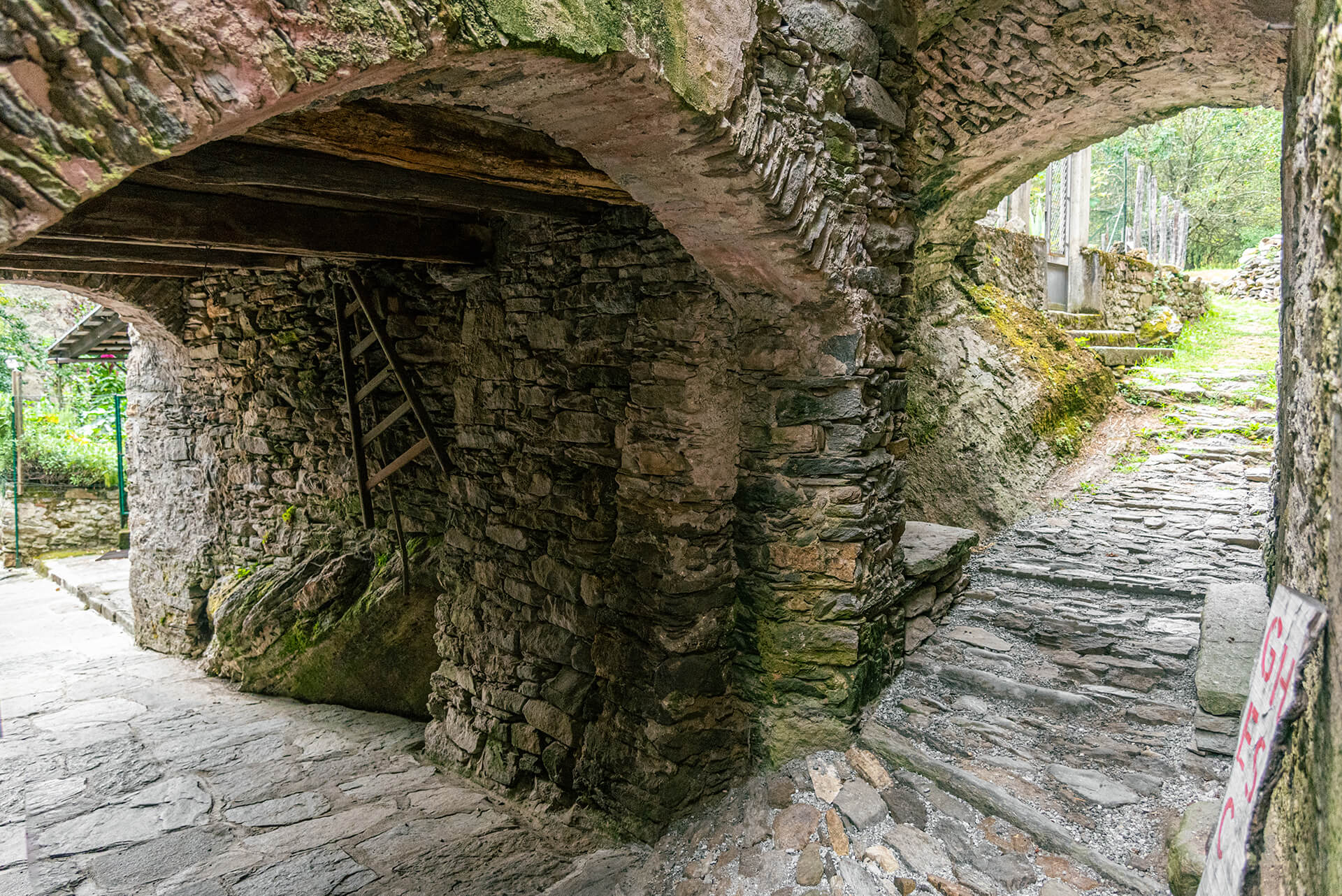 corso guide naturalistiche